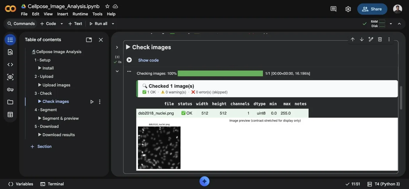 Step 4: every image checked, with a status, its dimensions and a thumbnail