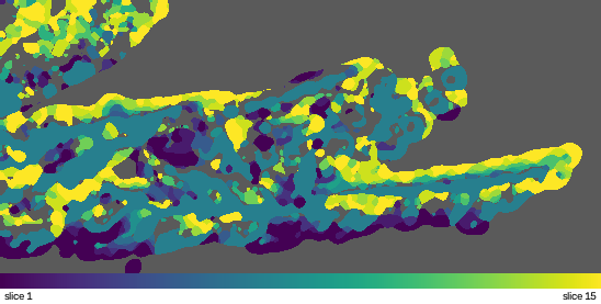 Topography map of the same field, coloured from slice 1 to slice 15 by the slice at which each point is in focus, with grey where there is no signal